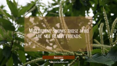 Misfortune shows those who are not really friends. Aristotle Quotes