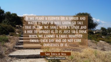 If we plant a flower or a shrub and water it daily it will grow so tall that in time we shall need Saint Teresa of Avila Quotes