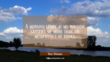 A morning-glory at my window satisfies me more than the metaphysics of books. Walt Whitman Quotes