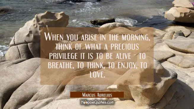 When you arise in the morning think of what a precious privilege it is to be alive - to breathe to