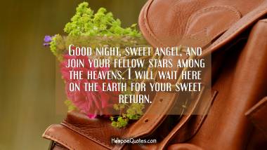 Good night, sweet angel, and join your fellow stars among the heavens. I will wait here on the earth for your sweet return. Good Night Quotes