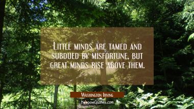 Little minds are tamed and subdued by misfortune, but great minds rise above them. Washington Irving Quotes