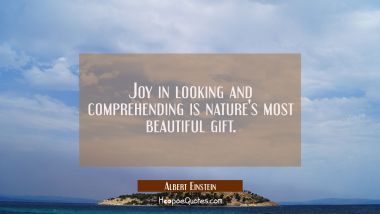 Joy in looking and comprehending is nature&#039;s most beautiful gift. Albert Einstein Quotes