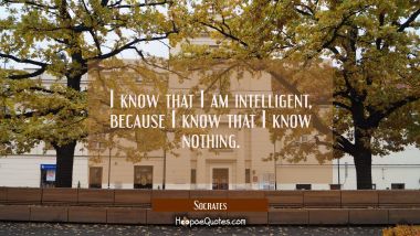 I know that I am intelligent because I know that I know nothing. Socrates Quotes